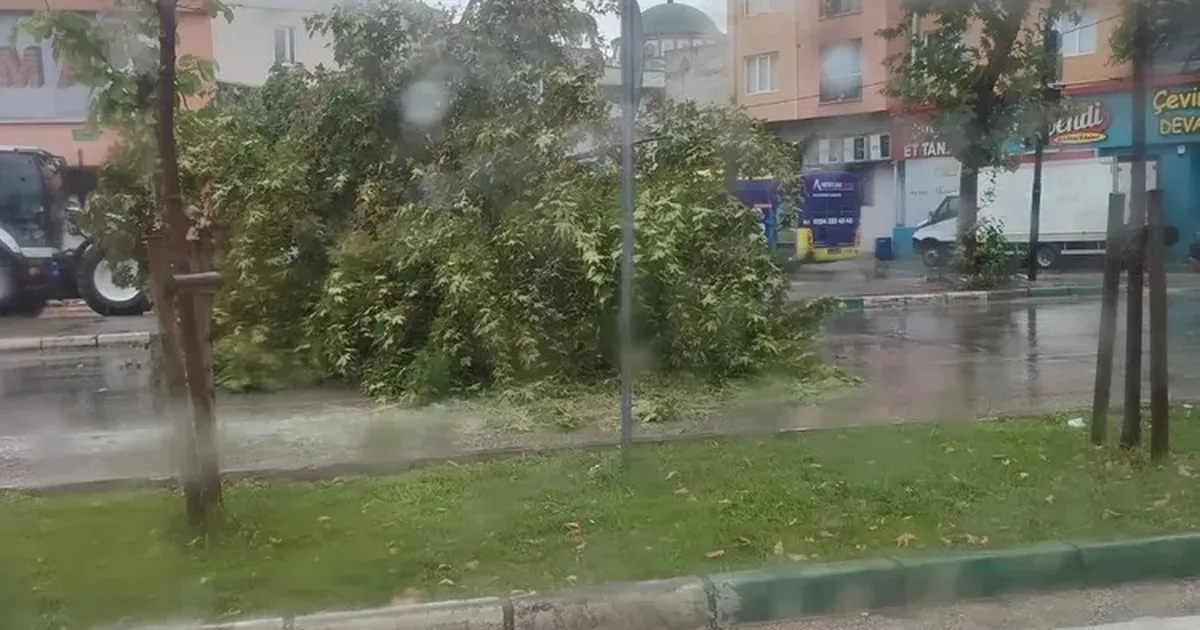 Bursa’da şiddetli yağış ağacı devirdi